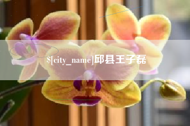 芜湖邱县王子磊
