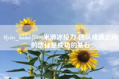 芜湖5000米滑冰接力-团队成员之间的信任是成功的基石