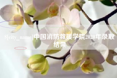 芜湖中国消防救援学院2020年录取结果