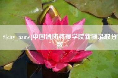 芜湖中国消防救援学院新疆录取分数
