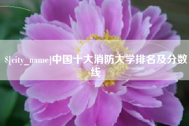 芜湖中国十大消防大学排名及分数线