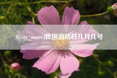 芜湖我国消防日几月几号