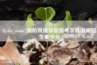 芜湖消防救援学院报考条件湖南招生多少分