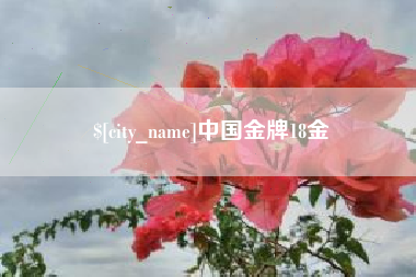 芜湖中国金牌18金