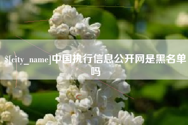 芜湖中国执行信息公开网是黑名单吗