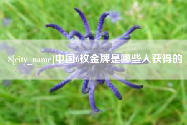 芜湖中国6枚金牌是哪些人获得的
