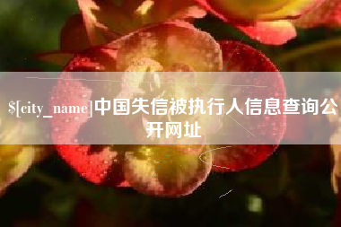 芜湖中国失信被执行人信息查询公开网址