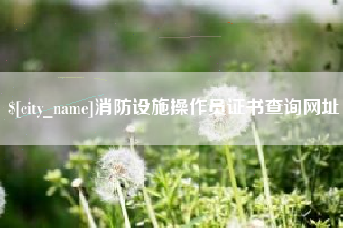 芜湖消防设施操作员证书查询网址