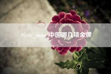 芜湖中国哪几项金牌