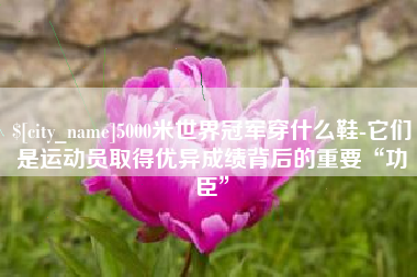 芜湖5000米世界冠军穿什么鞋-它们是运动员取得优异成绩背后的重要“功臣”