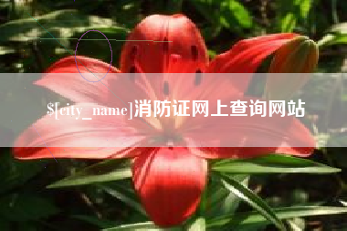 芜湖消防证网上查询网站