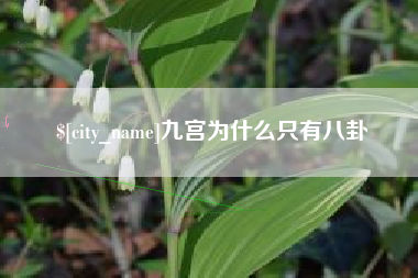 芜湖九宫为什么只有八卦