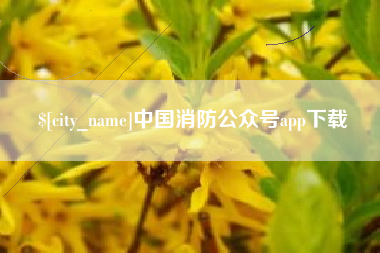 芜湖中国消防公众号app下载