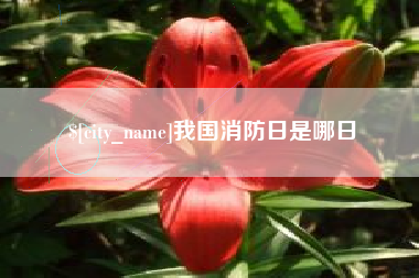 芜湖我国消防日是哪日