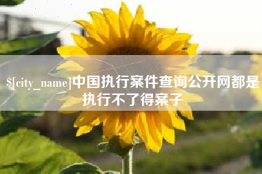 芜湖中国执行案件查询公开网都是执行不了得案子