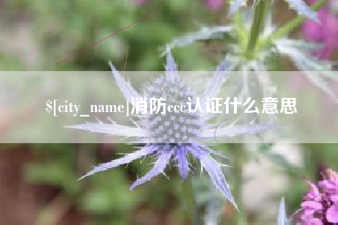 芜湖消防ccc认证什么意思