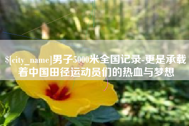 芜湖男子5000米全国记录-更是承载着中国田径运动员们的热血与梦想