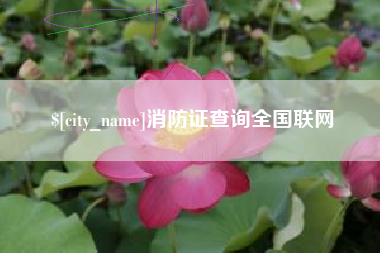芜湖消防证查询全国联网
