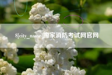 芜湖国家消防考试网官网