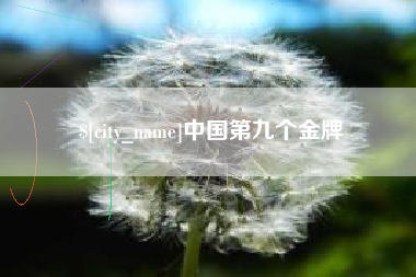 芜湖中国第九个金牌