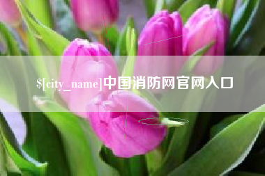 芜湖中国消防网官网入口