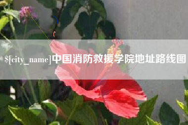 芜湖中国消防救援学院地址路线图