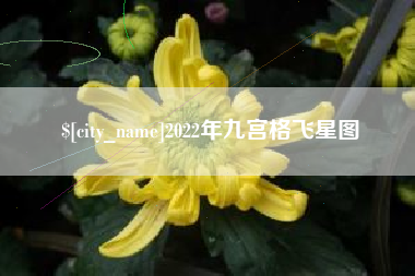 芜湖2022年九宫格飞星图