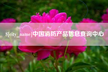 芜湖中国消防产品信息查询中心