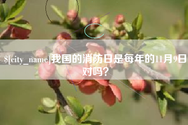 芜湖我国的消防日是每年的11月9日对吗？