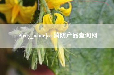 芜湖ccc消防产品查询网