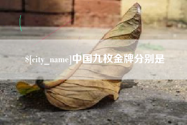 芜湖中国九枚金牌分别是