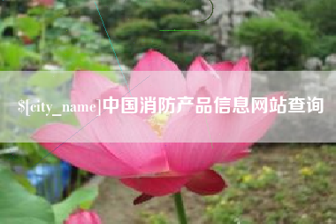 芜湖中国消防产品信息网站查询