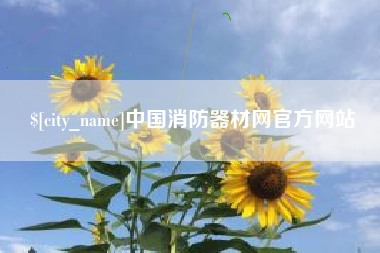 芜湖中国消防器材网官方网站