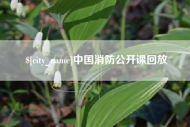 芜湖中国消防公开课回放