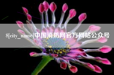 芜湖中国消防网官方网站公众号