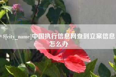 芜湖中国执行信息网查到立案信息怎么办