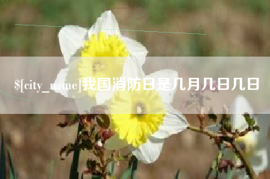 芜湖我国消防日是几月几日几日