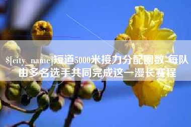 芜湖短道5000米接力分配圈数-每队由多名选手共同完成这一漫长赛程