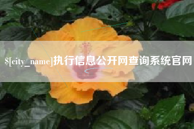 芜湖执行信息公开网查询系统官网