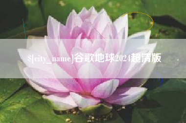 芜湖谷歌地球2024超清版