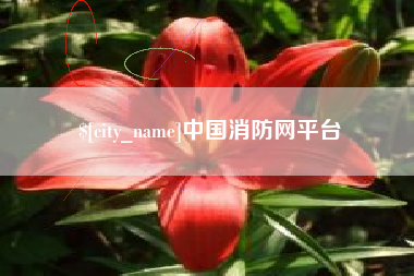 芜湖中国消防网平台