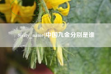 芜湖中国九金分别是谁