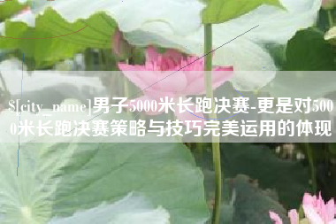 芜湖男子5000米长跑决赛-更是对5000米长跑决赛策略与技巧完美运用的体现
