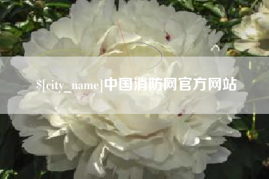 芜湖中国消防网官方网站