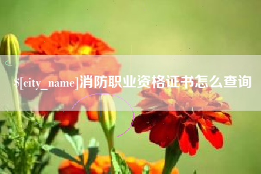 芜湖消防职业资格证书怎么查询