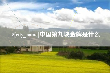 芜湖中国第九块金牌是什么