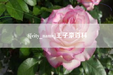 芜湖王子豪百科