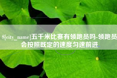 芜湖五千米比赛有领跑员吗-领跑员会按照既定的速度匀速前进