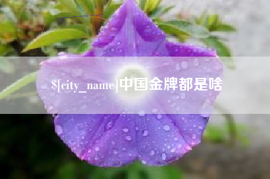 芜湖中国金牌都是啥