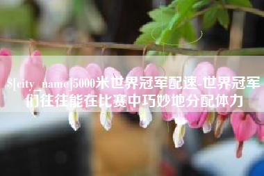 芜湖5000米世界冠军配速-世界冠军们往往能在比赛中巧妙地分配体力
